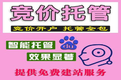 某知名企业信息流托管的成功经验